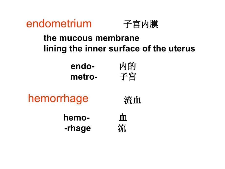 医学英语的特征及要求医学词汇的来源_第5页