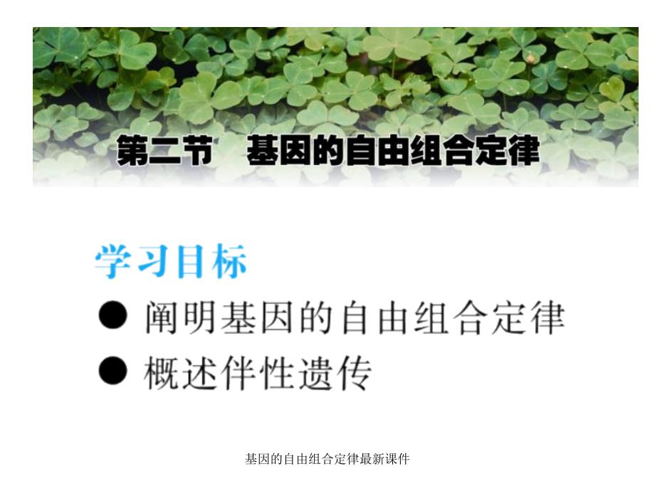 基因的自由组合定律最新课件_第1页