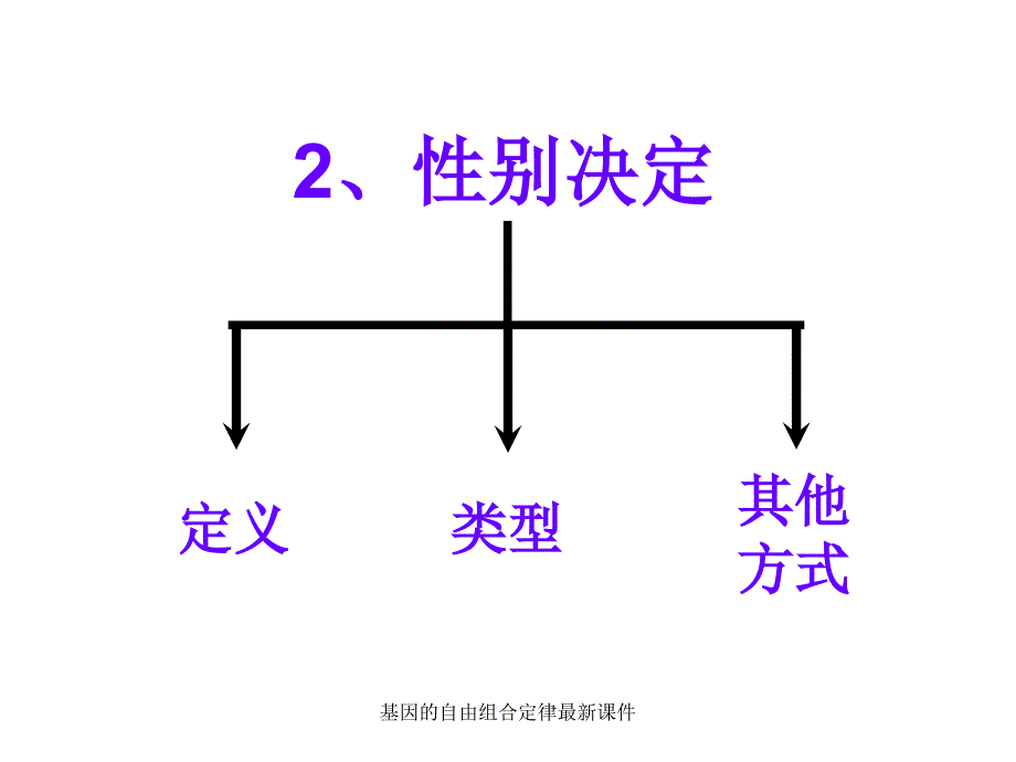 基因的自由组合定律最新课件_第2页