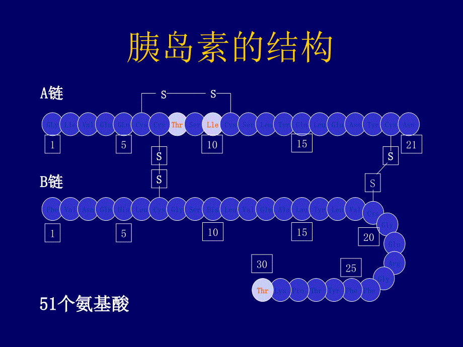 胰岛素应用科室ppt课件_第4页