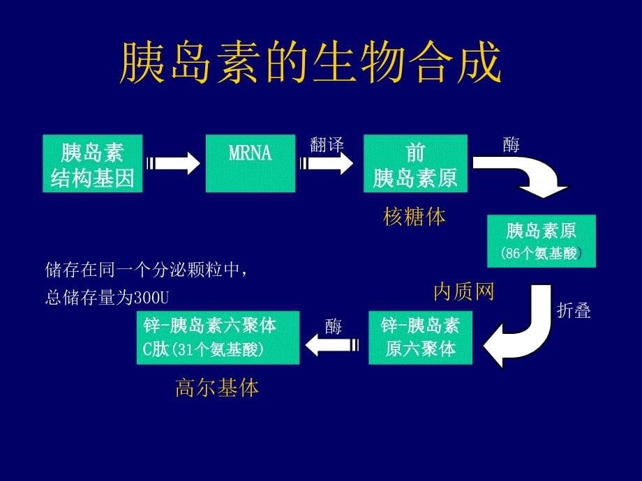 胰岛素应用科室ppt课件_第5页