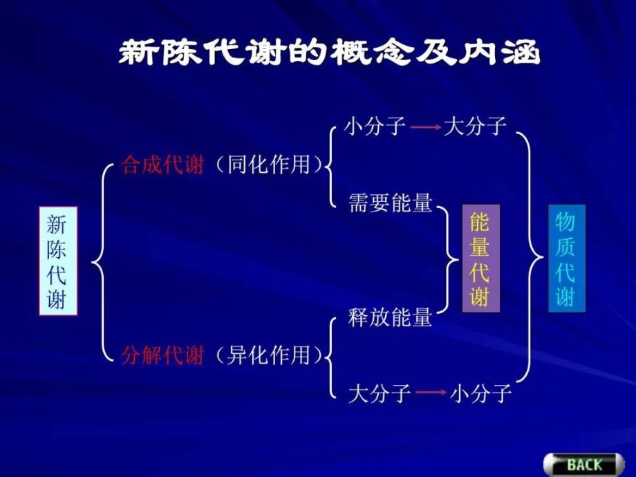 代谢引论和生物氧化_第4页