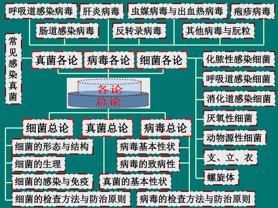 医学微生物学绪论ppt课件_第4页