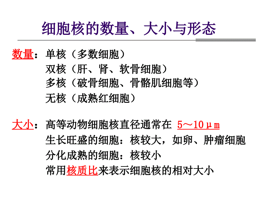 医学细胞生物学课件细胞核_第2页