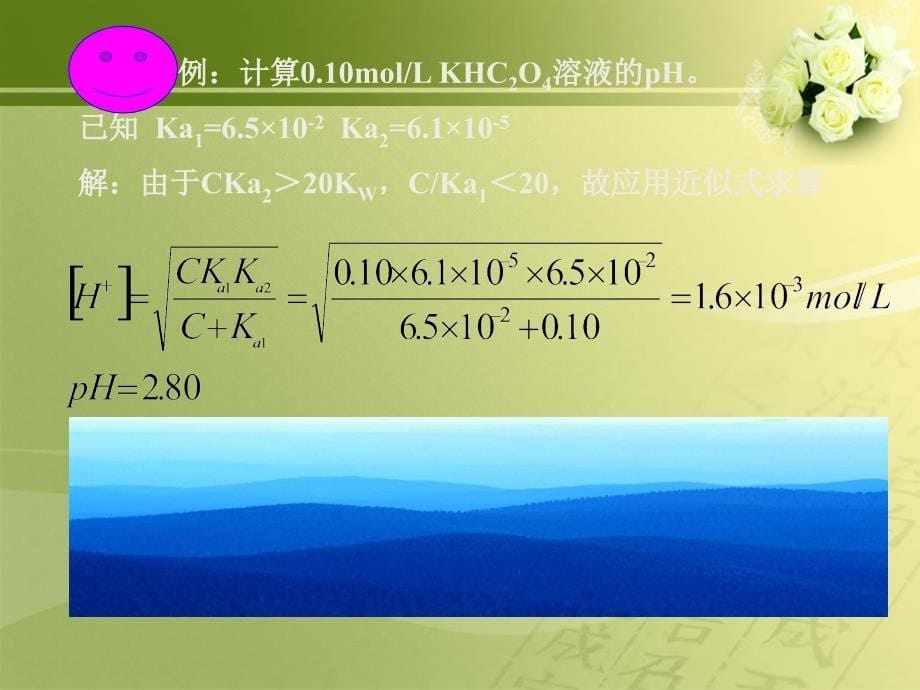 分析化学计算_第5页