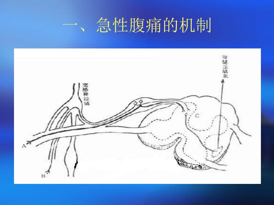 外 科 急 腹 症_第3页