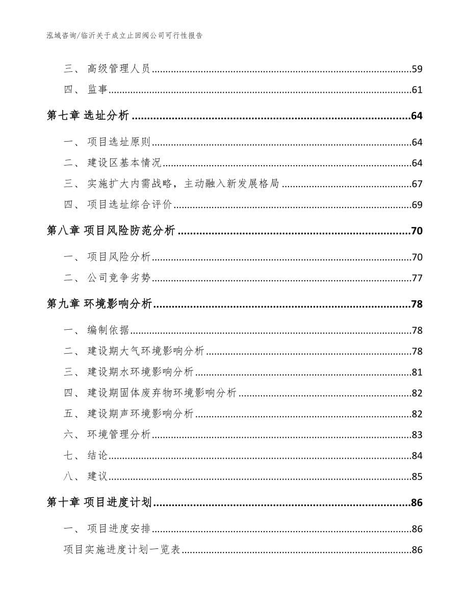 临沂关于成立止回阀公司可行性报告（范文）_第5页