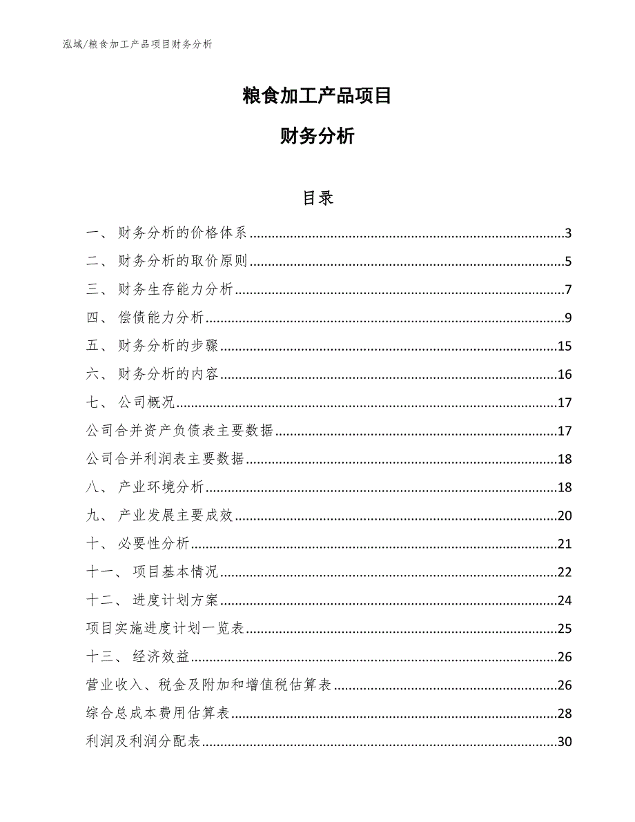 粮食加工产品项目财务分析（参考）_第1页