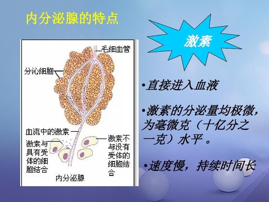 七年级生物下册 6.4 激素调节 （新版）新人教版_第5页