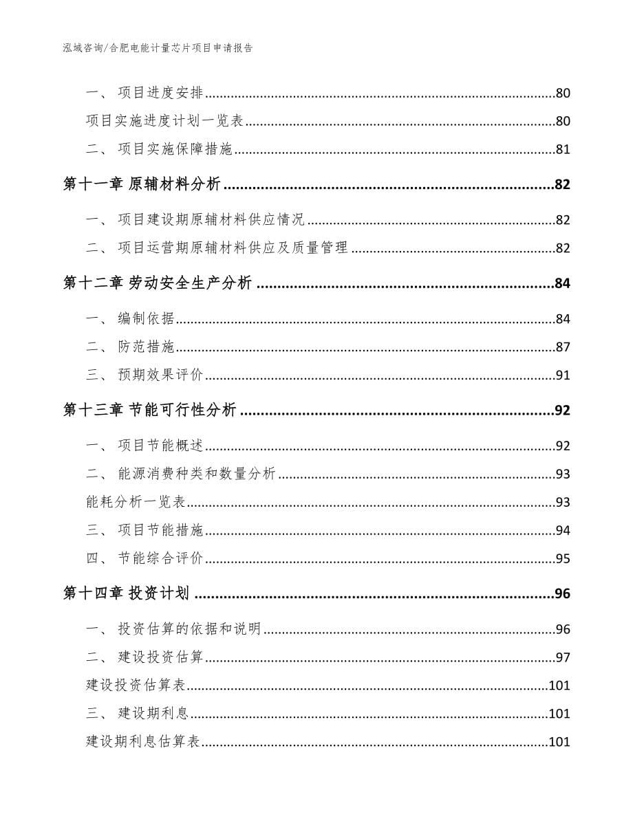 合肥电能计量芯片项目申请报告_第5页