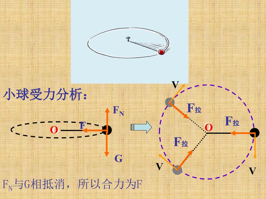 人教版高一物理物理必修二第五章曲线运动5.6向心力_第3页