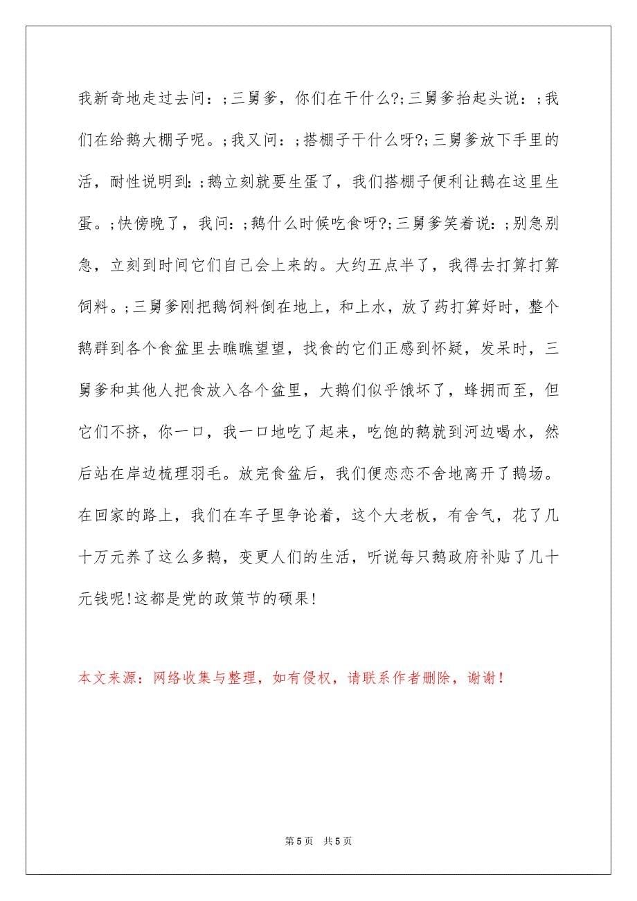 六年级暑假难忘的一件事作文500字_第5页