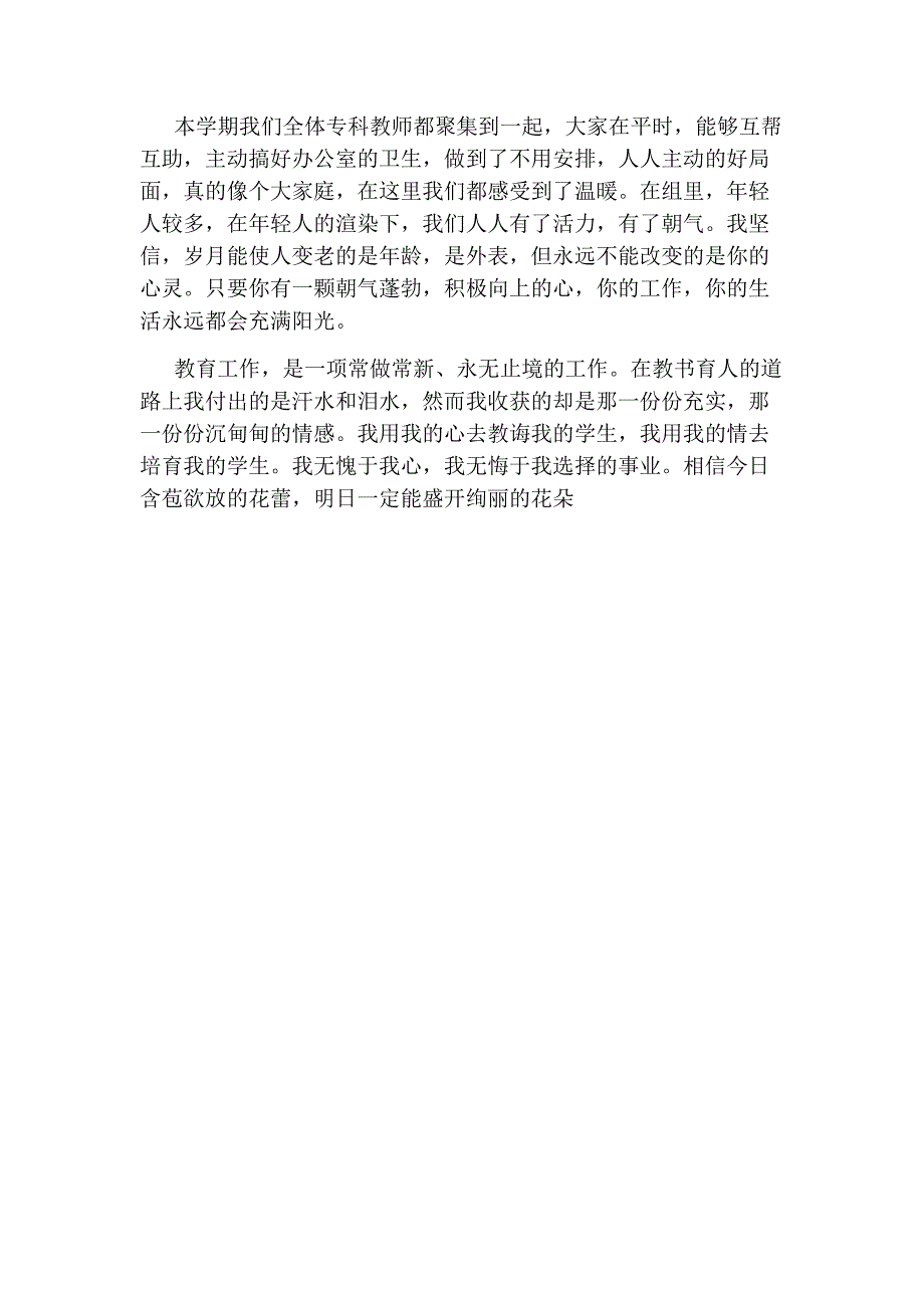 小学英语教师年度考核个人总结范文.doc_第4页