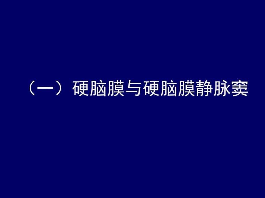 头部断层解剖学人体断层解剖学课件04_第5页