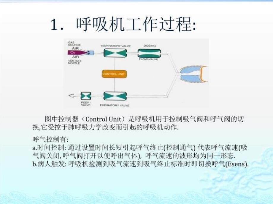 呼吸机波形分析22131说课材料_第5页