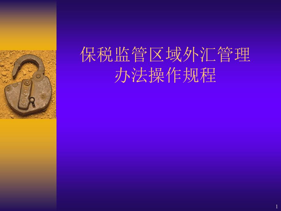 保税监管区域外汇管理手册_第1页