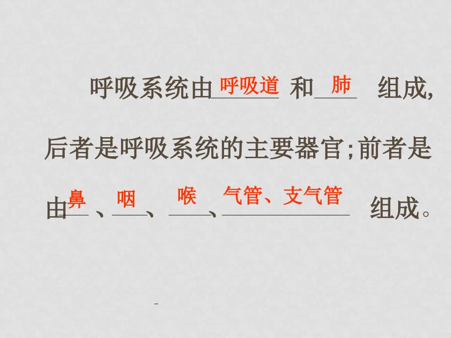 七年级生物下册 第四单元第三章第一节呼吸道对空气的处理课件人教版_第3页