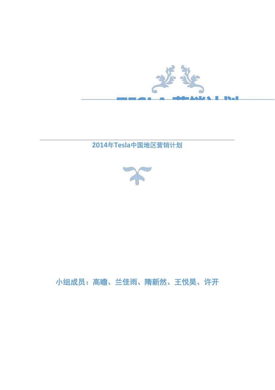 特斯拉营销方案讲解学习_第1页