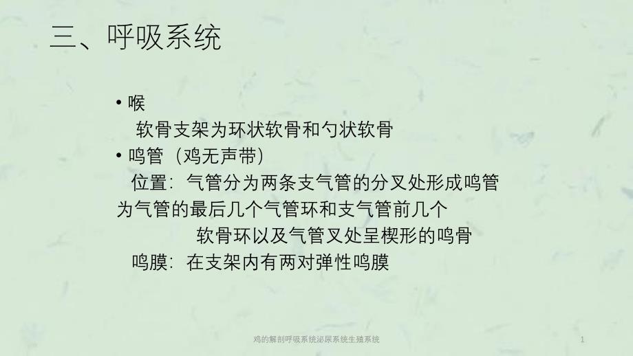 鸡的解剖呼吸系统泌尿系统生殖系统课件_第1页