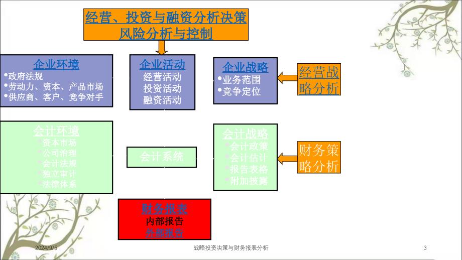 战略投资决策与财务报表分析课件_第3页