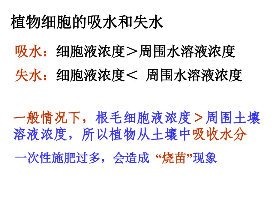 植物的根与物质的吸收_第3页