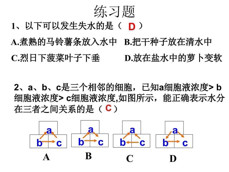 植物的根与物质的吸收_第5页