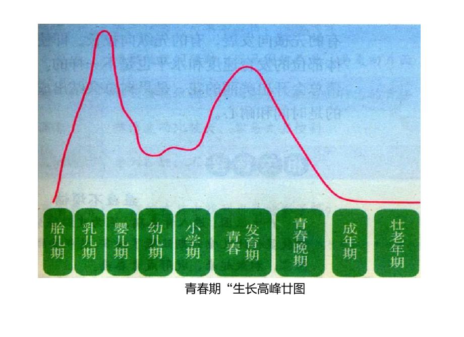 1.1悄悄变化的我ppt课件_第4页