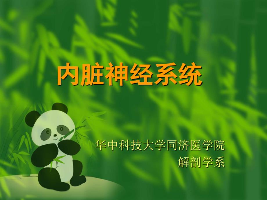I内脏神经系统_第1页