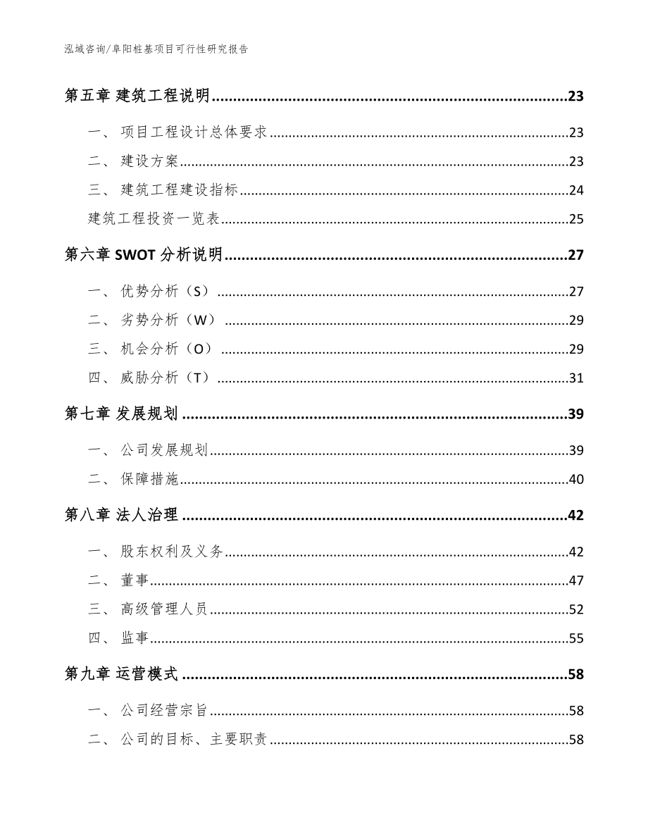 阜阳桩基项目可行性研究报告（模板范文）_第2页