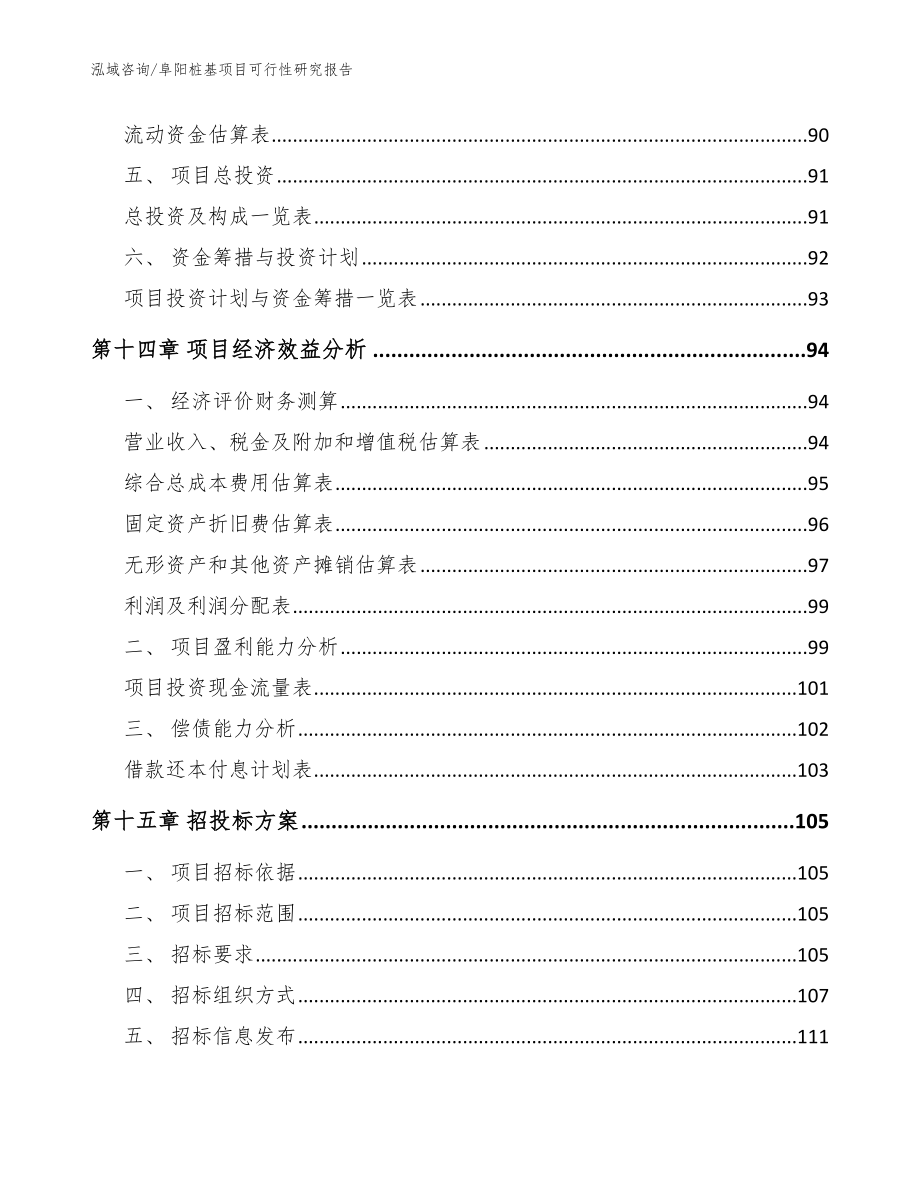 阜阳桩基项目可行性研究报告（模板范文）_第4页