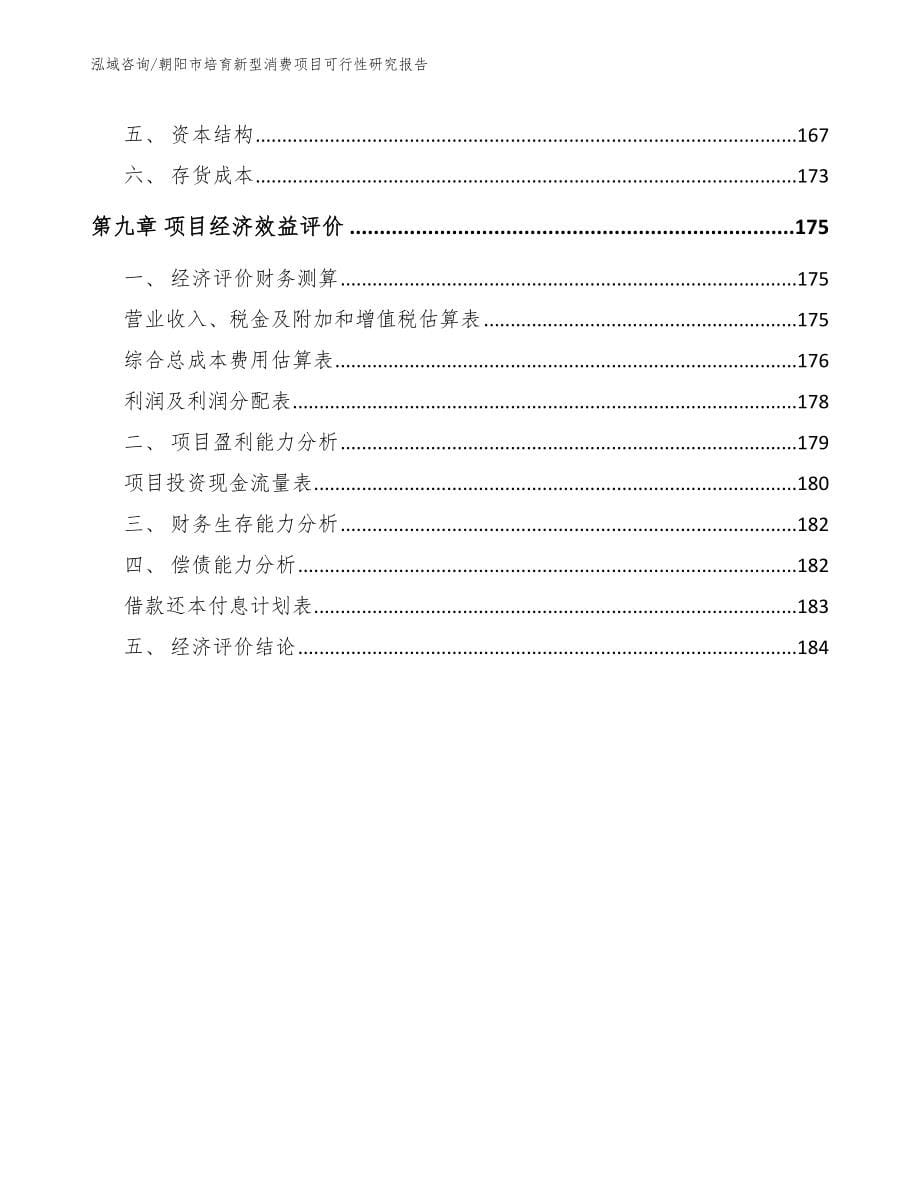 朝阳市培育新型消费项目可行性研究报告范文参考_第5页