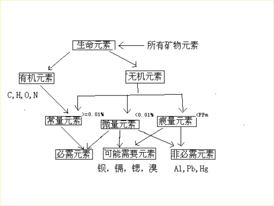 动物营养矿物质营养_第4页