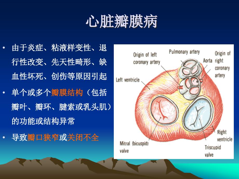 内科学：心脏瓣膜病 心内膜炎_第2页