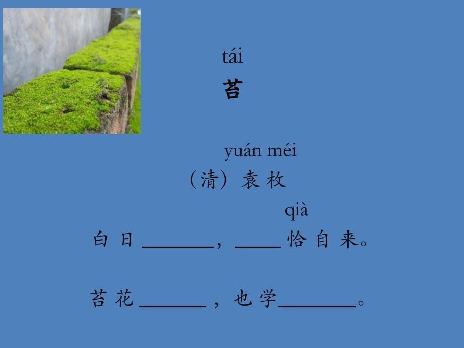 苔袁枚带拼音小学低段_第5页