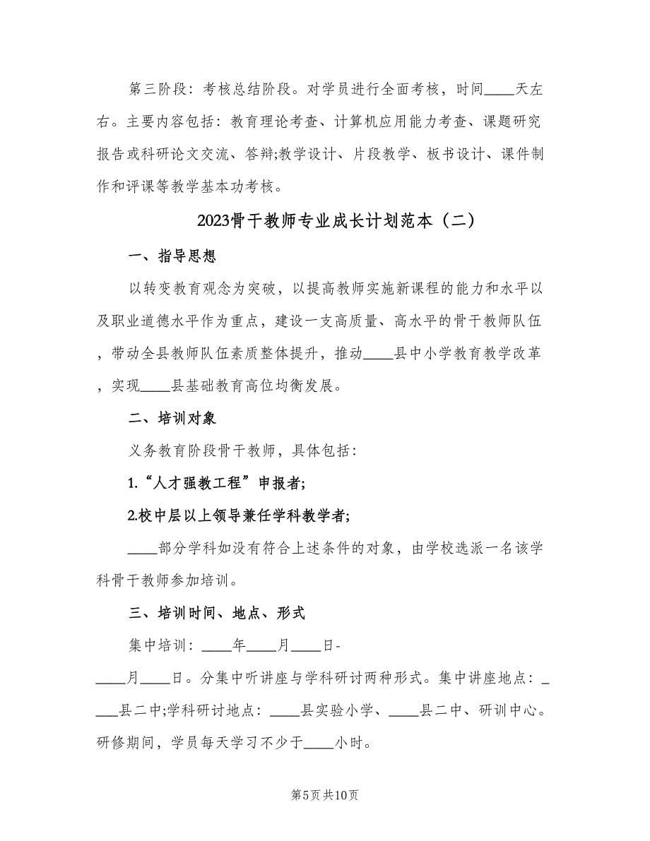 2023骨干教师专业成长计划范本（三篇）.doc_第5页