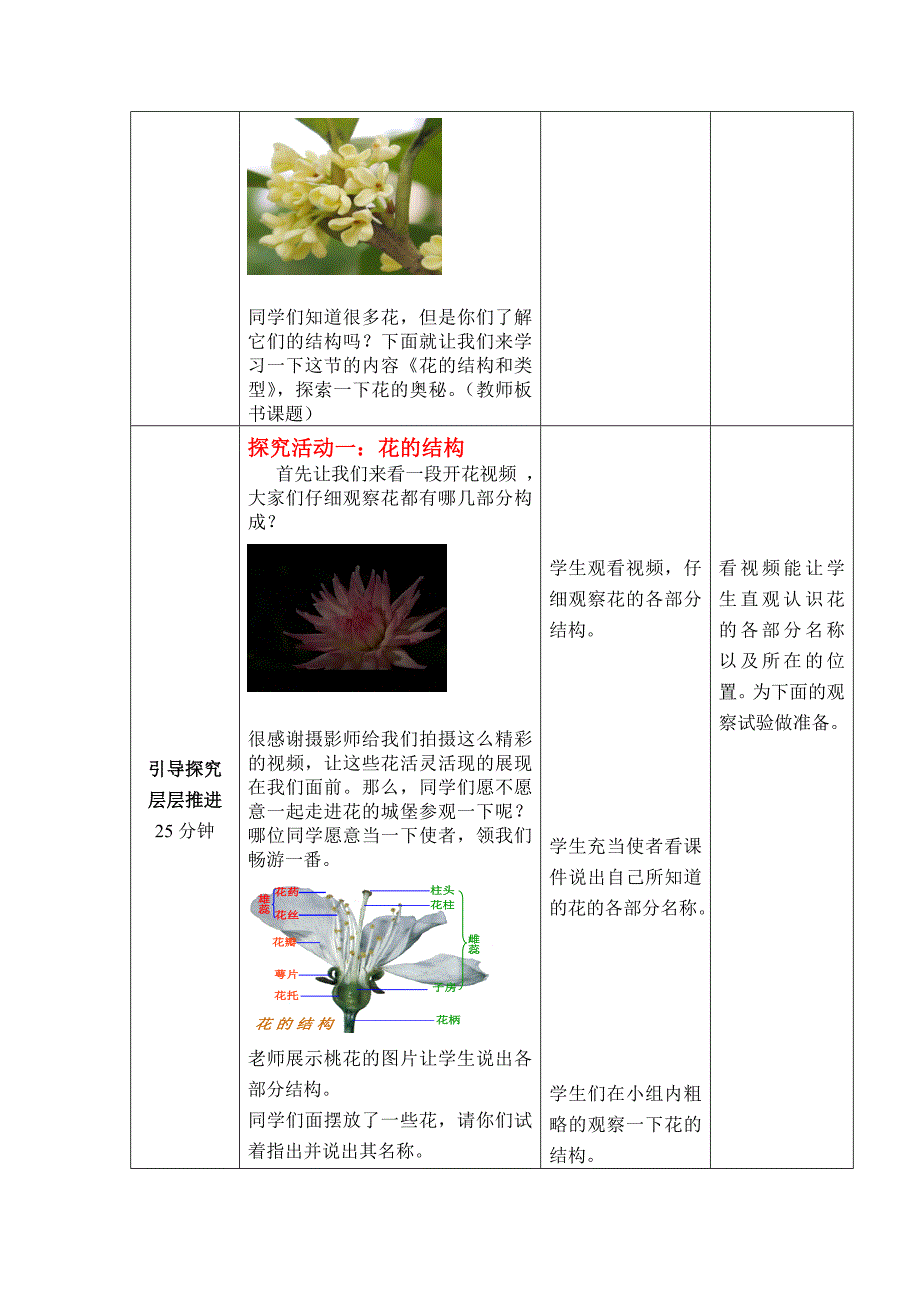 济南版生物八年级上册第一节花的结构和类型教案_第3页