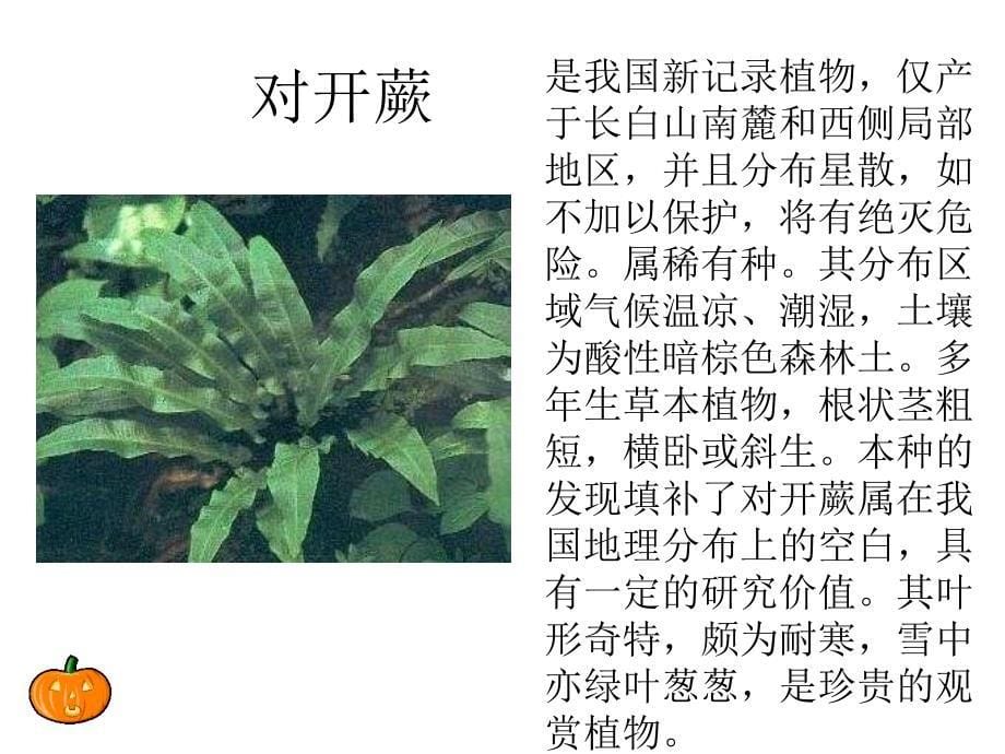 保护珍稀植物分析课件_第5页