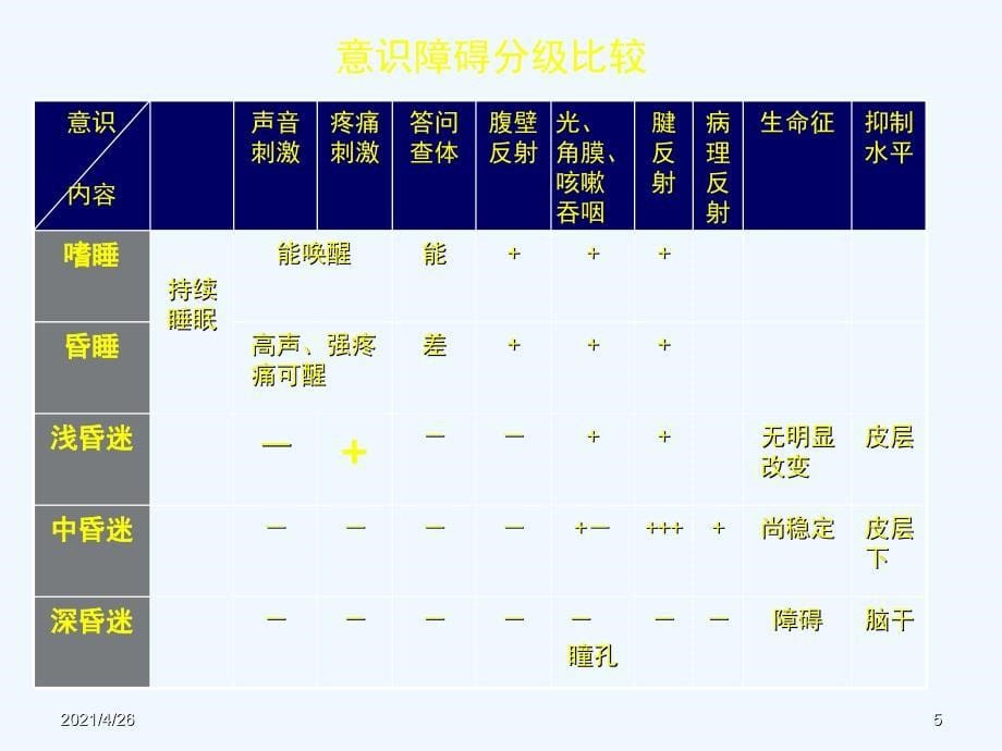 神经系统体格检查_第5页