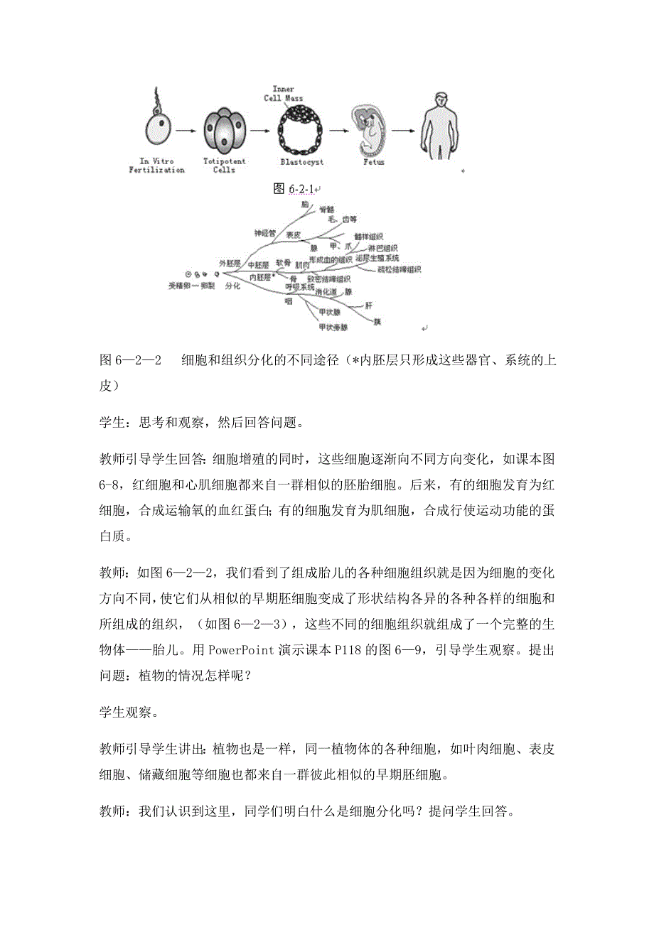 第2节　细胞的分化5.docx_第3页