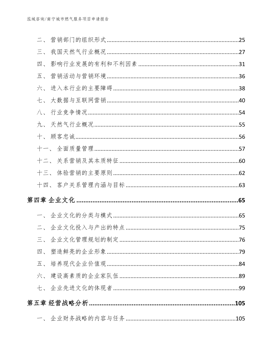 南宁城市燃气服务项目申请报告_模板_第2页