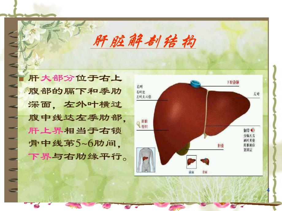 （优质课件）肝癌护理查房_第4页