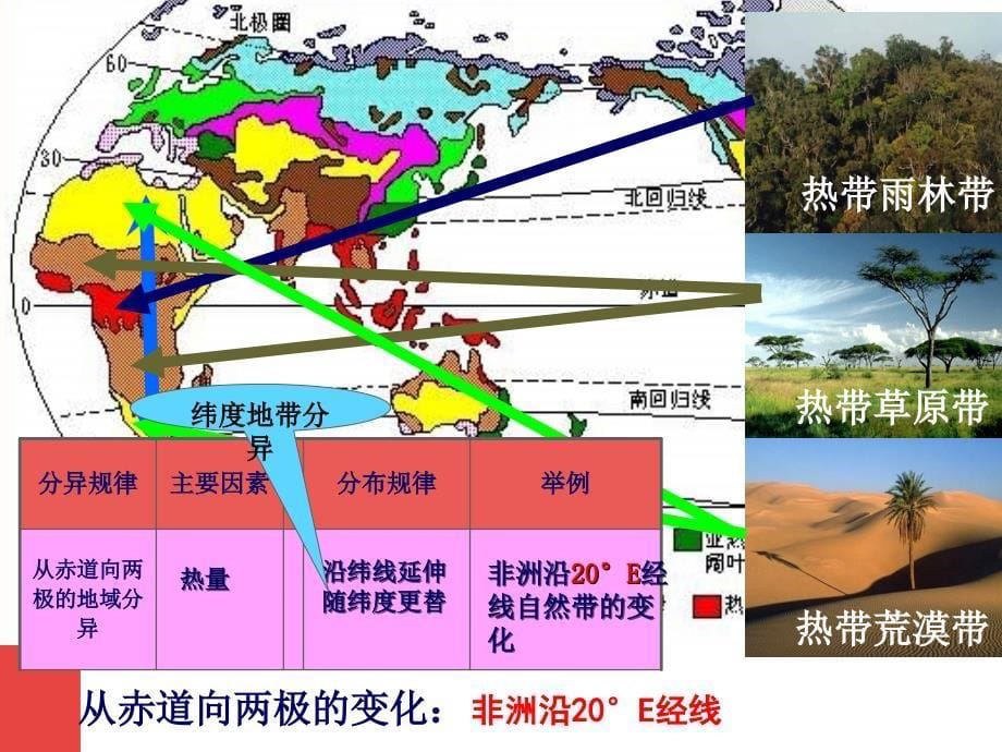 第三节自然地理环境的差异性课件_第5页