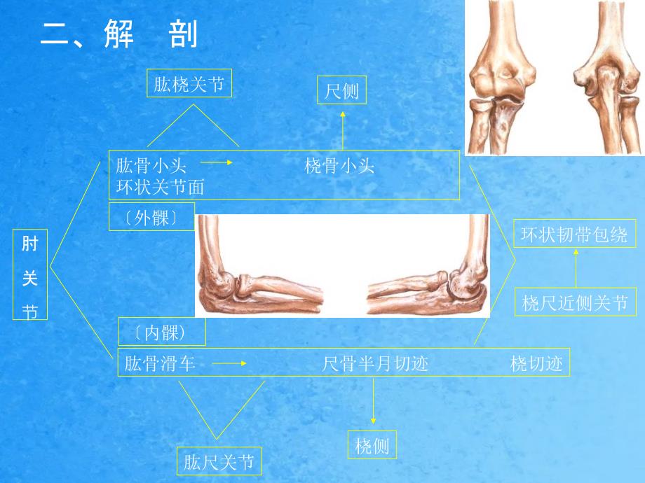 肘关节扭挫伤ppt课件_第3页