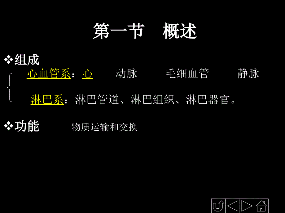 正常人体解剖学——循环系统【沐风书苑】_第2页