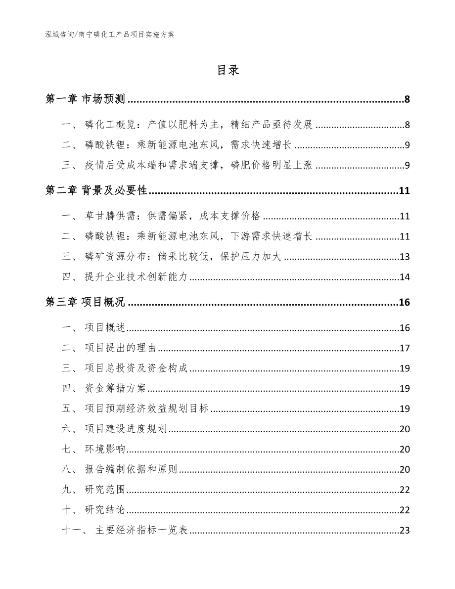 南宁磷化工产品项目实施方案_模板参考_第1页