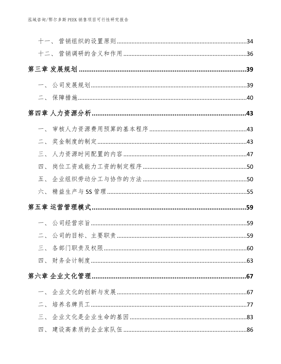 鄂尔多斯PEEK销售项目可行性研究报告（模板）_第4页