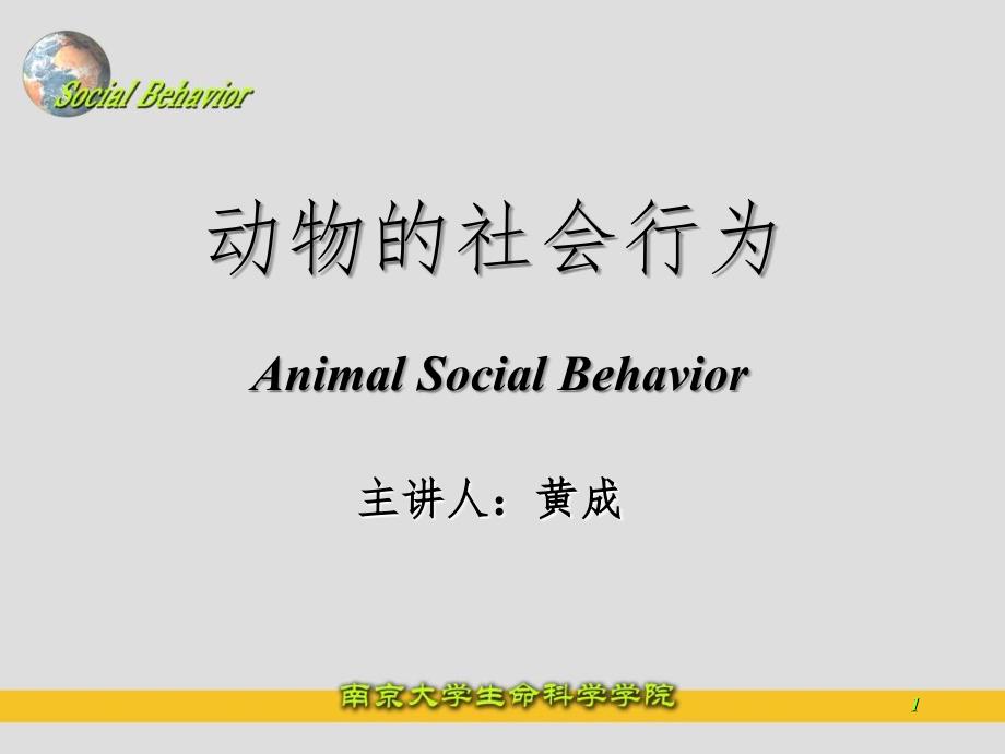 动物的社会行为PPT课件_第1页