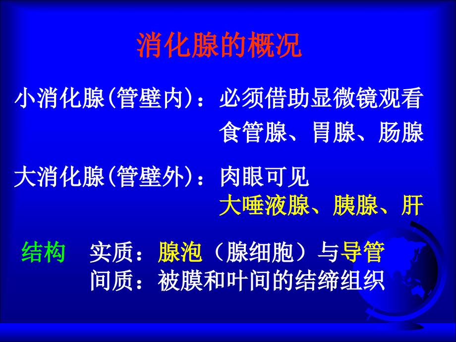 组织学与胚胎学：第15章 消化腺-芬_第3页