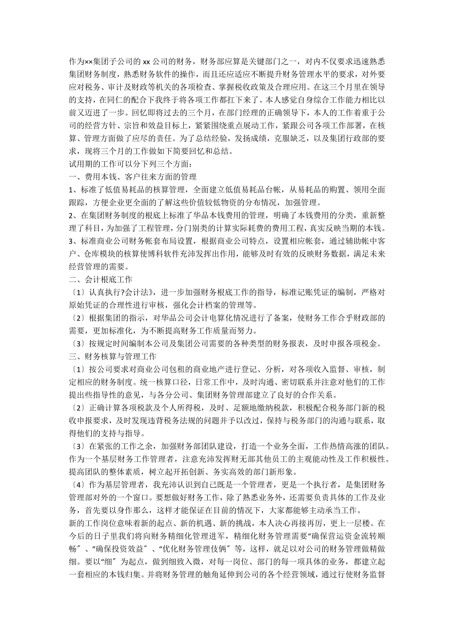 会计试用期工作总结优秀范文_第3页