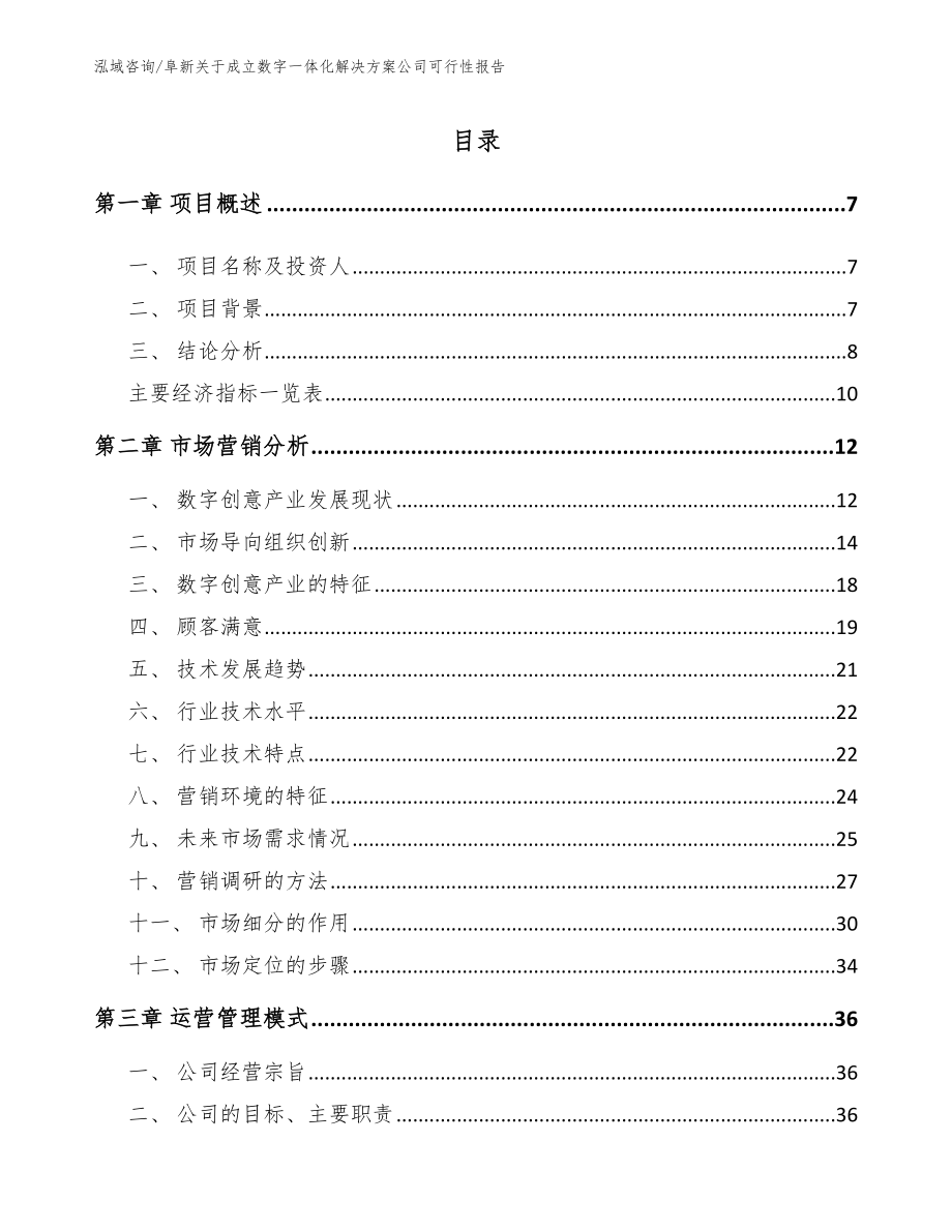 阜新关于成立数字一体化解决方案公司可行性报告（模板范本）_第1页